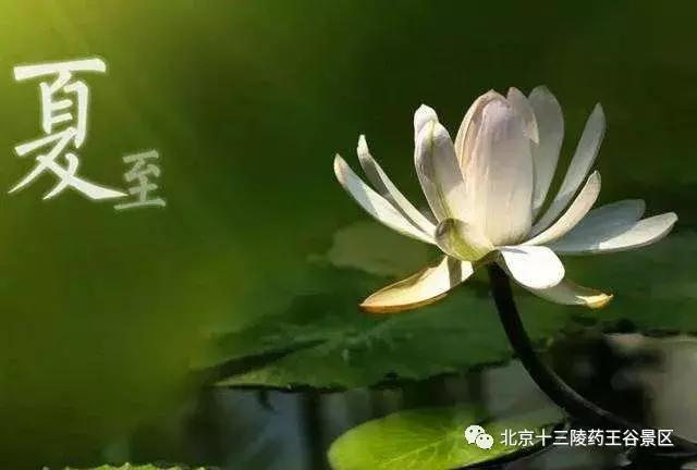 夏至养生小方法,记住这几点中医养生原则,清爽一夏