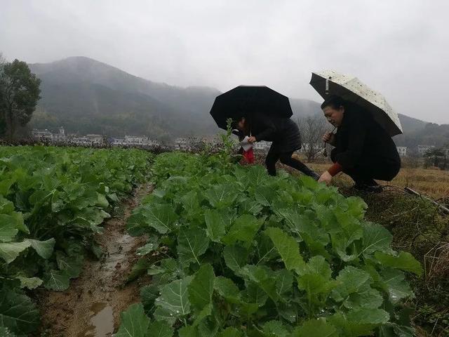 2019年十大天气气候事件揭晓!哪件给你印象最深?