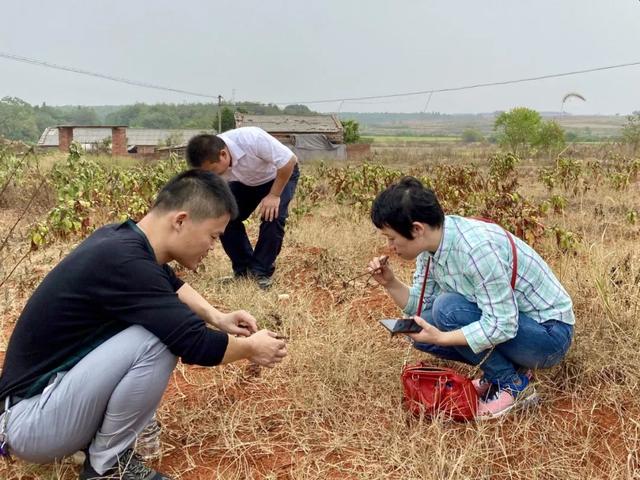 2019年十大天气气候事件揭晓!哪件给你印象最深?