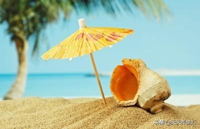 夏天养成平和心性,不伤身、不伤人,过个痛快的夏天