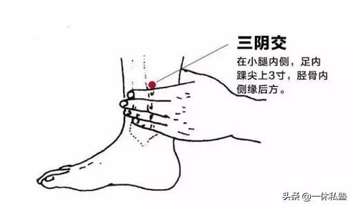 养生,就是创造条件让“身体自养”
