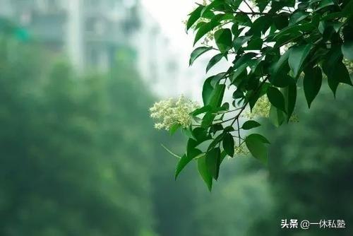养生,就是创造条件让“身体自养”
