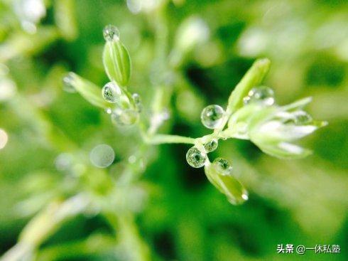 养生,就是创造条件让“身体自养”
