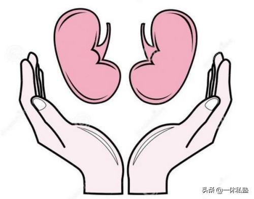 养生,就是创造条件让“身体自养”