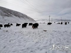 受南支槽东移和北方冷空