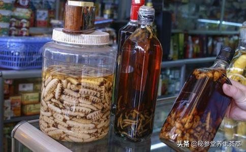 喝药酒好处多 想喝药酒养生的人快来看