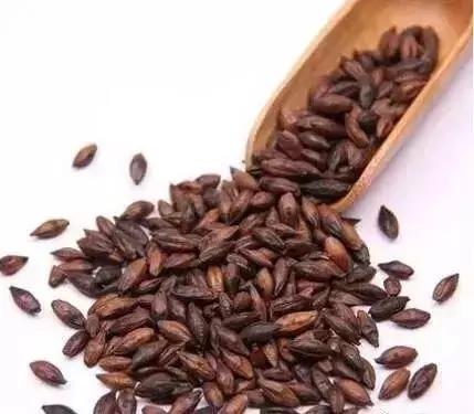 肠胃不好的人喝什么茶养生?
