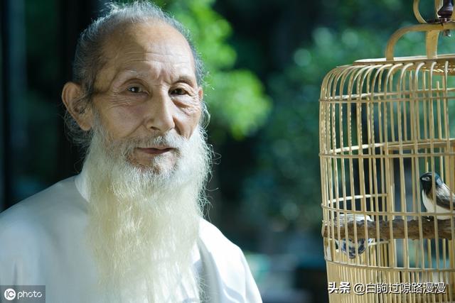忙碌是长寿最好的“养生秘方”