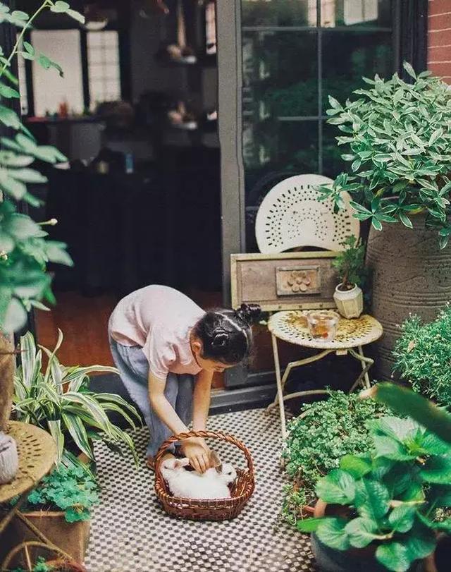 夏季养生三件大事:早养胃,午养心,晚养百脉