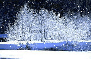 「气象科普」雨雪天气里,到底会下雨?雪?雨夹雪?