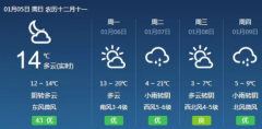 小寒梦回暖春 ？上海的神