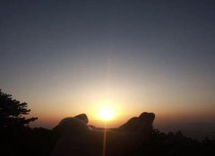 三伏天阳虚怕冷吃什么好