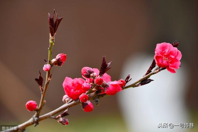 小寒天气，于古诗词中寻一份诗情画意，你最喜欢哪一首？