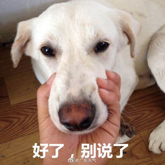 今日天气:小寒来了,广州说貌似夏天还没过完……