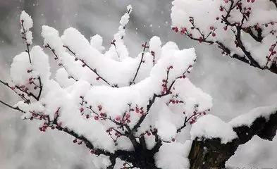 小寒节气:18首小寒诗词,请收好