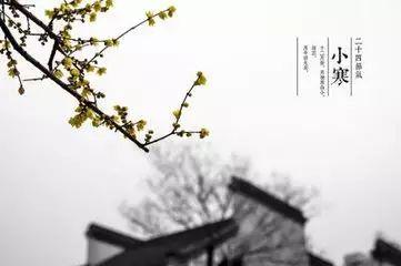 小寒节气:18首小寒诗词,请收好