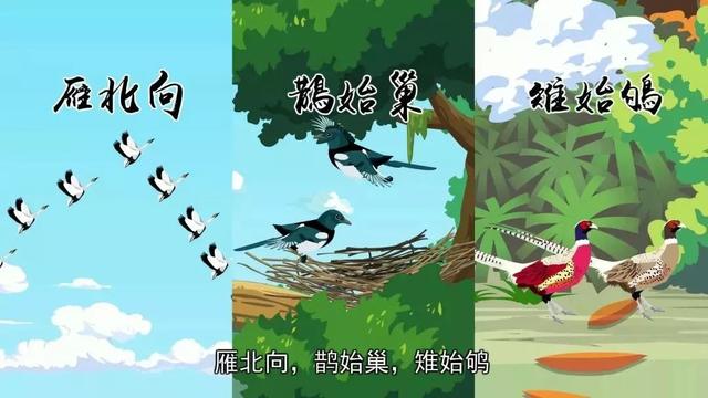 小寒小寒,冻成一团。一年中最寒冷的日子开始!