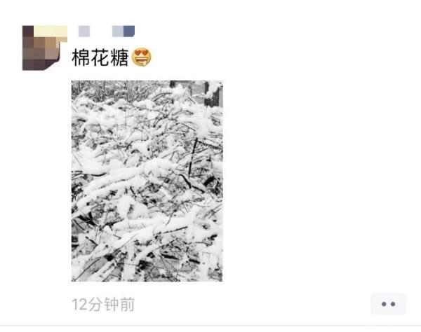 浙江小寒11个市8个破气温纪录，猜猜哪个市以26.6℃夺冠！浙江网友：让我们看看雪吧