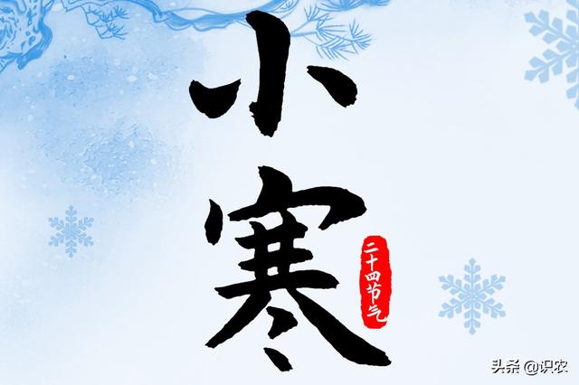 小寒一到,北方降雪升级南方异常温暖......2020年天气将会如何?