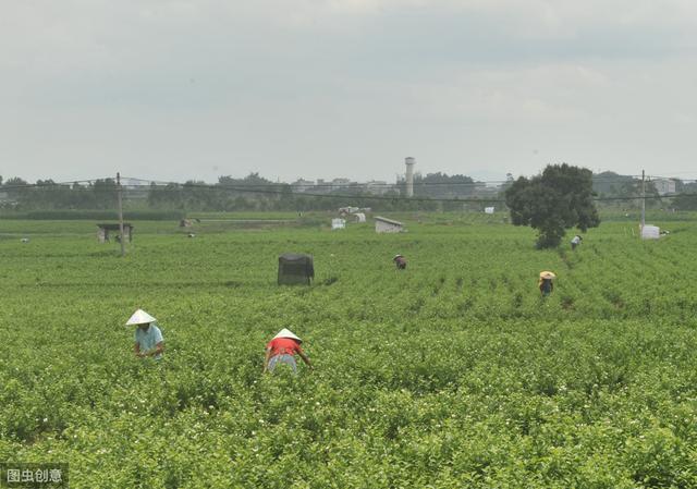 夏天到 立夏养生 提防夏季病 切忌洗冷水澡