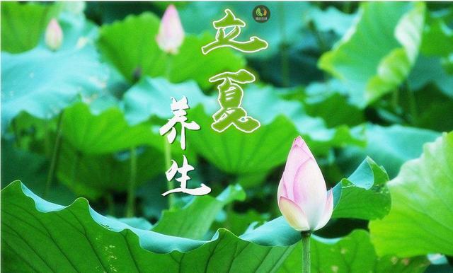 立夏养生之早睡早起加午休(立夏养生系列)