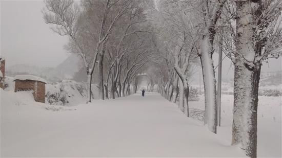 关于“特大暴雪”你了解过吗