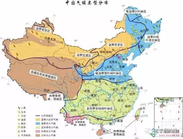 何为"温带干旱气候"