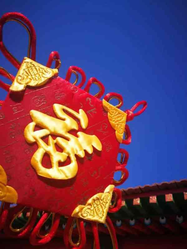 大寒天气这般好,何不出门赏腊梅?
