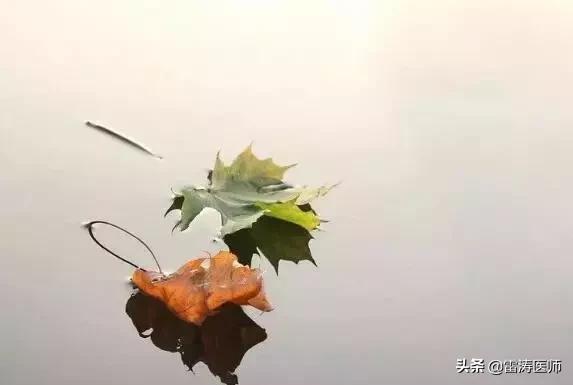 【养生】古人推崇的9种养生法,不妨借鉴一下!