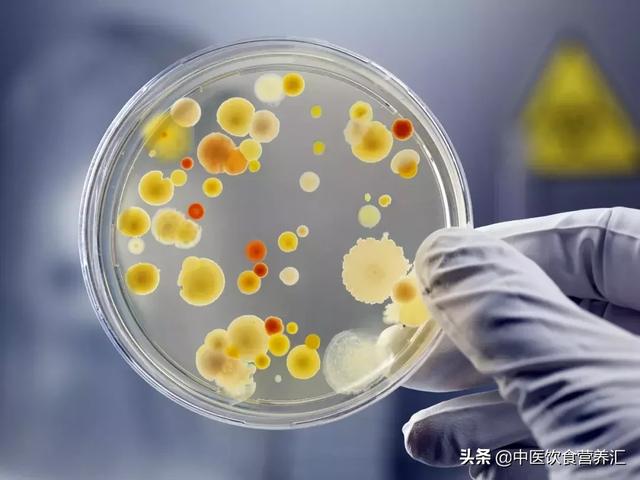 这样用保温杯,不是养生,是错误的
