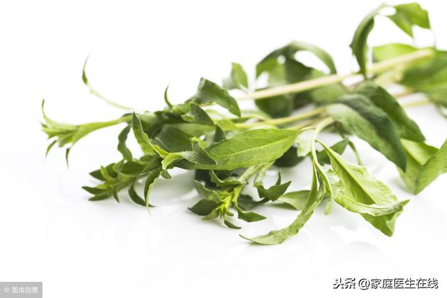 春季不容错过的8款野菜,日常吃一吃,养生又美味!