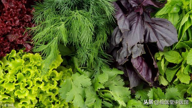 春季养生智慧:养肝健脾“食疗”重于药疗