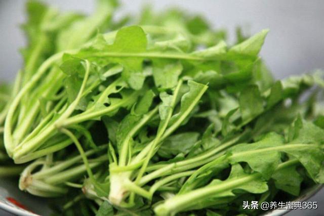 春季养生,不可错过的四种野菜,鲜嫩美味又养生!