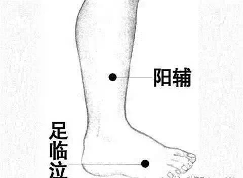 肝胆经络垃圾多，你的寿命不会长，怎么办？