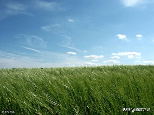 春季气象——春阳上升,顺应节令以养生