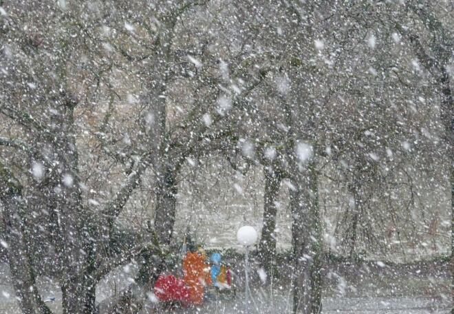 暴雪蓝色预警停课吗 暴雪蓝色预警学校放假吗