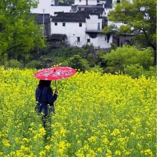 春天最不应该做的7件事,第6件最严重,第7件很多人都在做
