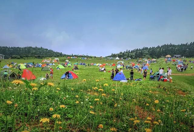 清明时节 | 养生=养健康,此时应该注意哪些?