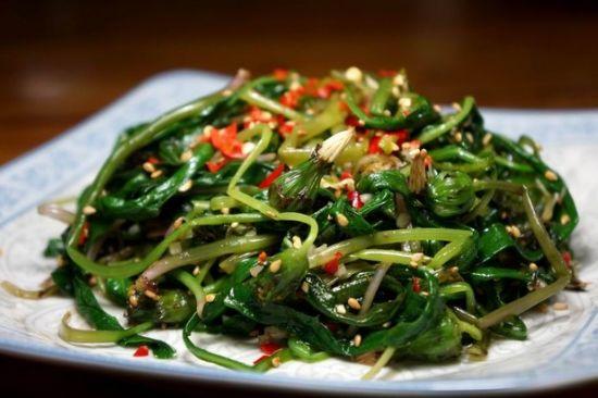 农村中常见的野菜,隔三差五吃一次,营养健康又美味!