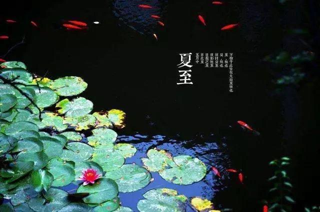 昼长夜短,今日夏至!注意养生