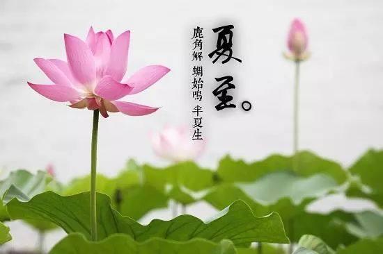 昼长夜短,今日夏至!注意养生