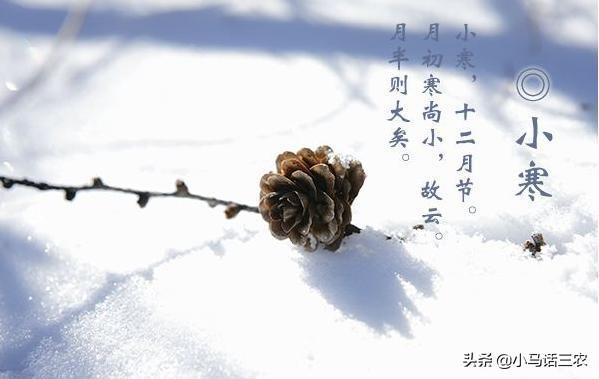 春节将至，20年春节在几九？冷不冷？降雪有哪些影响？看完有数了