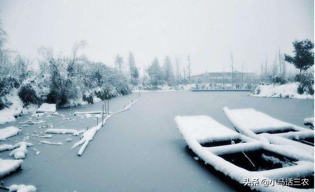 春节将至，20年春节在几九？冷不冷？降雪有哪些影响？看完有数了