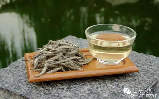 史上最全的白茶的养生功效，值的收藏！