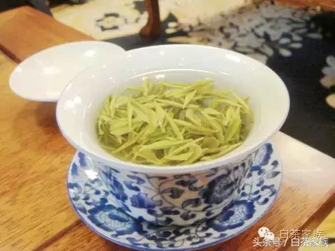 史上最全的白茶的养生功效，值的收藏！