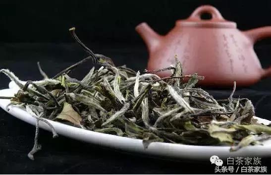 史上最全的白茶的养生功效，值的收藏！