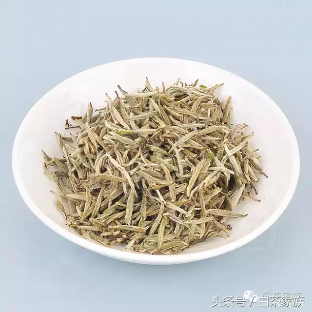 史上最全的白茶的养生功效，值的收藏！