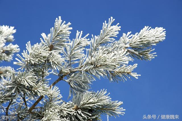 冬季是一年最寒冷的季节，冬季养生五要素