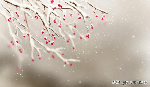 立冬养生:吃三样,喝三样,健康就靠这三样