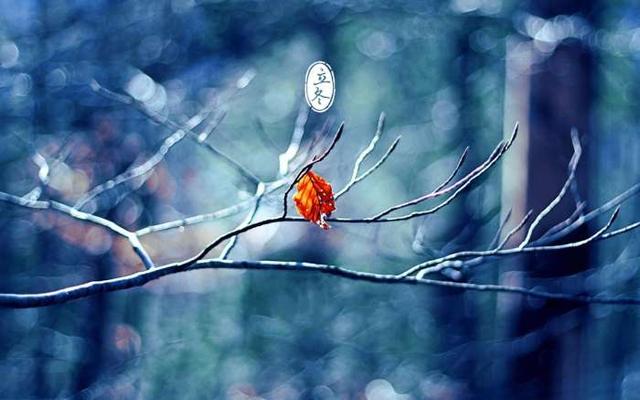 长寿老人告诉你:“秋吃果、冬吃根”,立冬后要多吃6种根菜养生